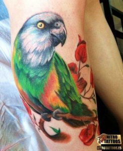 tatuajes de loros para mujeres, tatuajes de loro para mujer