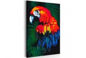 cuadros de loros, pinturas de loros, cuadros con loros