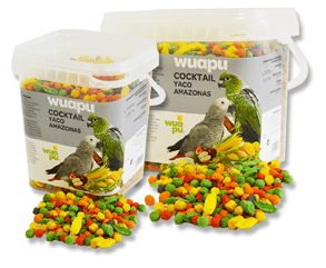 comida de loros, comida para loros, comprar comida de loros