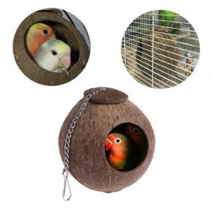 nidos para loros, comprar nidos para loros, nido para cotorros cotorras cacatuas ninfas