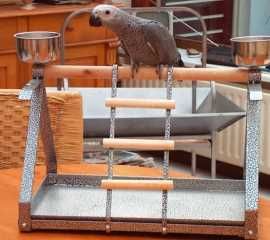 accesorios y productos para loros, comprar accesorios para loros