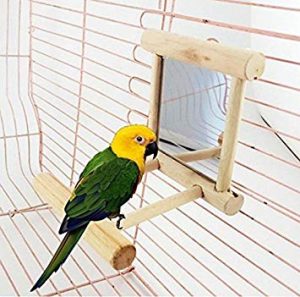 Perchas para loros, comprar perchas para loros y pajaros, palos baratos para loros