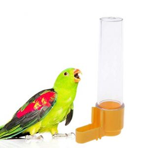 Comederos Y Bebederos Para Loros Tienda Loros