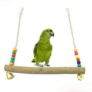 accesorios y productos para loros, comprar accesorios para loros