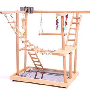 parques para loros, juegos para loros, parques de juegos para loros, parque loros