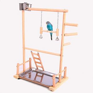 parques para loros, juegos para loros, parques de juegos para loros, parque loros, parque loros
