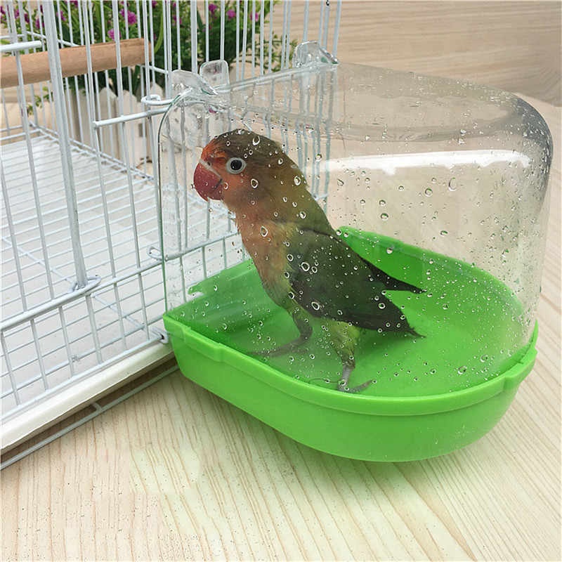 bañeras para loros, bañeras para loros yacos, pañeras para pajaros, bañera para loro