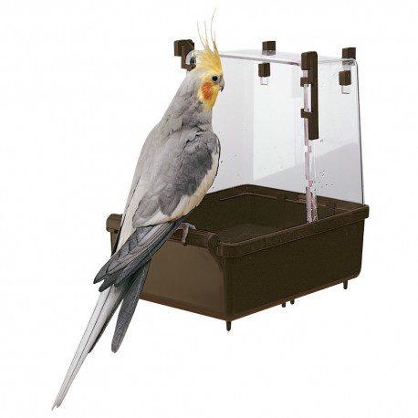 bañeras para loros, bañeras para loros yacos, pañeras para pajaros