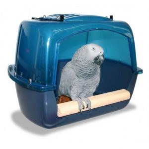 bañeras para loros, bañeras para loros yacos, pañeras para pajaros