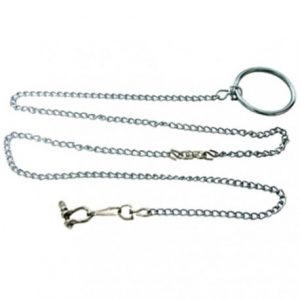 comprar cadenas para loros