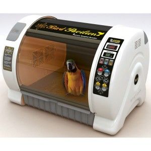 incubadora para loros, incubadora para pajaros y aves