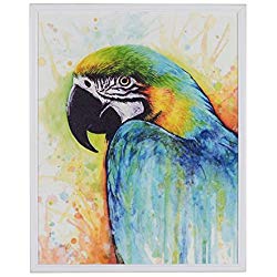 cuadros con loros, cuadros de loros, cuadro de loros, pintura de loros, arte de loros, cuadros con loros, arte con loros, pintura con loros