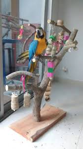 arbol java, arbol para loro, arbol java para loro