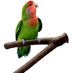 palos para loros, cotorras cacatuas loros