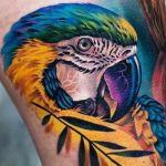 tatuajes de loros, tattoo loro, tatuaje loro, tatuaje de loro