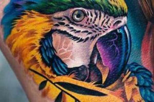 tatuajes de loros, tattoo loro, tatuaje loro, tatuaje de loro