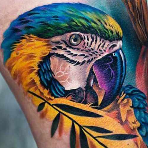 tatuajes de loros, tattoo loro, tatuaje loro, tatuaje de loro