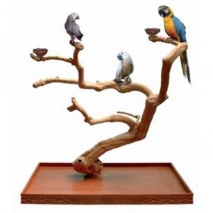 arbol java, arbol para loro, arbol java para loro