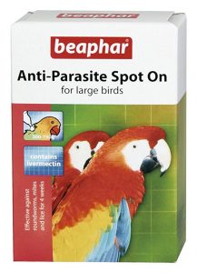 como desparasitar un loro, quitar piojos a un loro, desparasitar aves