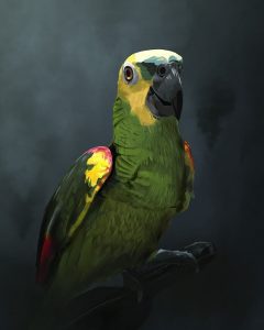 los loros son excelentes mascotas