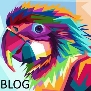 Loro, Todo sobre loros, características de los loros, que son los loros, como son los loros, blog de loros, informacion del loro