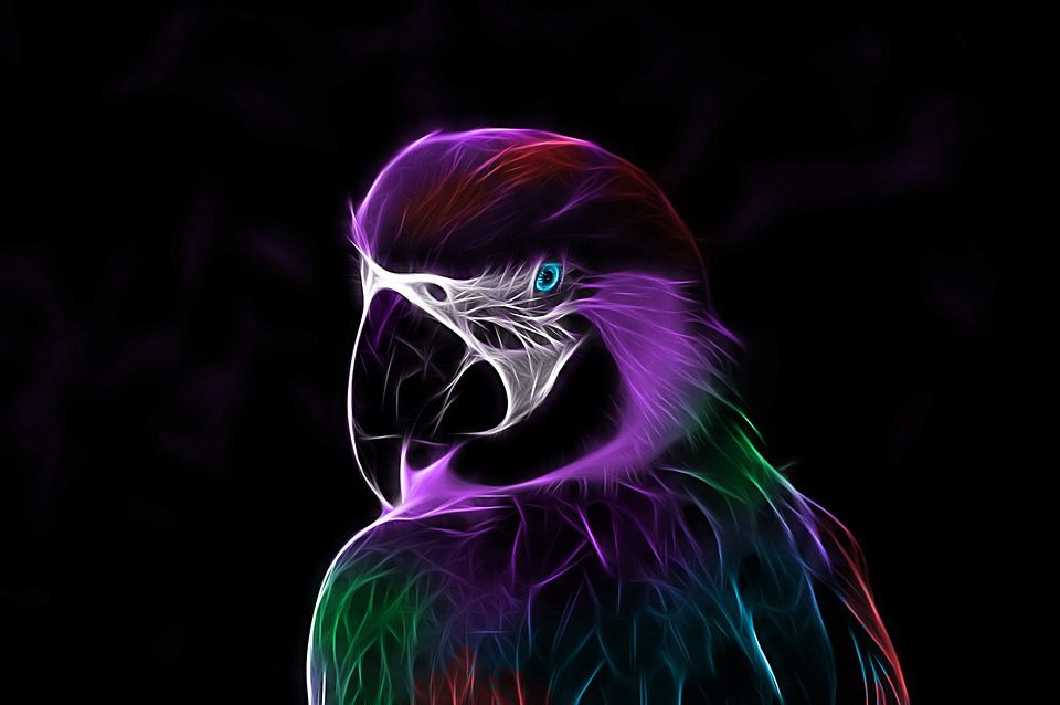 características de los loros
