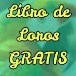 libro gratis cómo cuidar a tu loro, libro de loros gratis