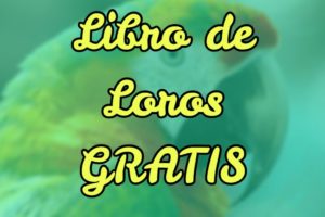 libro gratis cómo cuidar a tu loro, libro de loros gratis