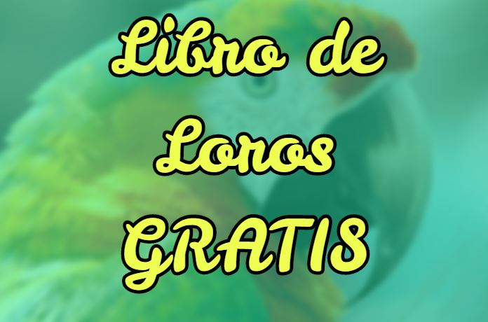 libro gratis cómo cuidar a tu loro, libro de loros gratis