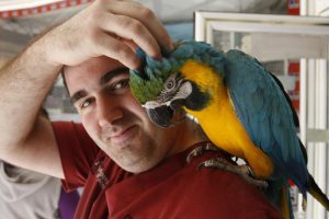 saber si mi lorito me quiere, saber si mi perico me quiere