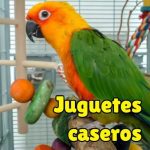 como hacer juguetes caseros para loros paso a paso facil