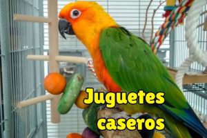 como hacer juguetes caseros para loros paso a paso facil