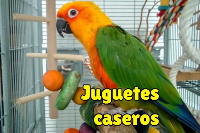 como hacer juguetes caseros para loros paso a paso facil