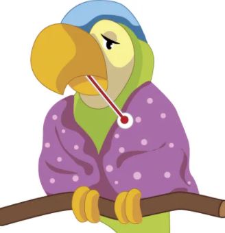 por que los loros estornudan