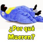 por que mueren los loros, causas de la muerte de los loros