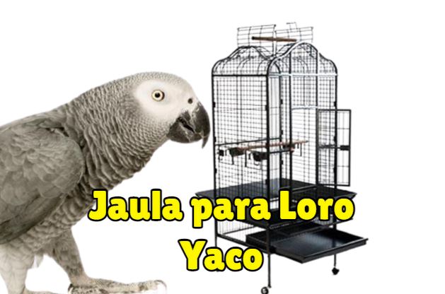 jaulas para yacos, comprar la mejor jaula para loro yaco, jaula para yacos