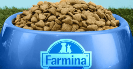 por que los alimentos y piensos farmina son los mejores para tu perro o gato? opiniones profesionales