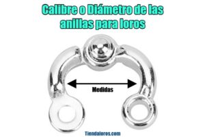 medidas diámetros y calibres de las anillas para cada especie de loros