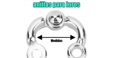 medidas diámetros y calibres de las anillas para cada especie de loros