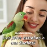 los loros extrañan a sus dueños? pueden los loros extrañar a una persona?