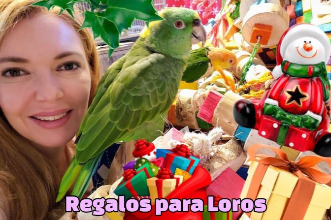 comprar regalos para amantes de los loros, regalos para amigos de los loros, regalos para loros, personas con loros mascotas