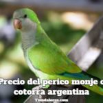 cuanto cuestan los pericos monje o cotorras argentinas, precio de la cotorra argentina, precio del perico monje