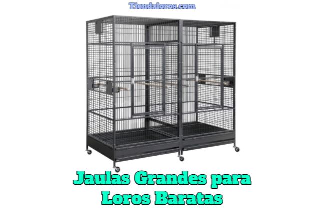 jaulas grandes para loros baratas, comprar mejores jaulas grandes y baratas para loros al mejor precio bajos y de buena calidad y buenas marcas