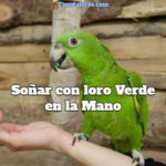 soñar con loro verde en la mano, interpretación de soñar con loro verde en mi mano, que significa soñar con sostener un loro verde