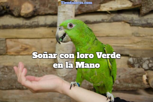 soñar con loro verde en la mano, interpretación de soñar con loro verde en mi mano, que significa soñar con sostener un loro verde