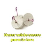 como hacer calcio casero para tu loro paso a paso, fácil