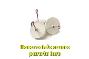 como hacer calcio casero para tu loro paso a paso, fácil