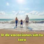 como irse de vacaciones sin tu loro