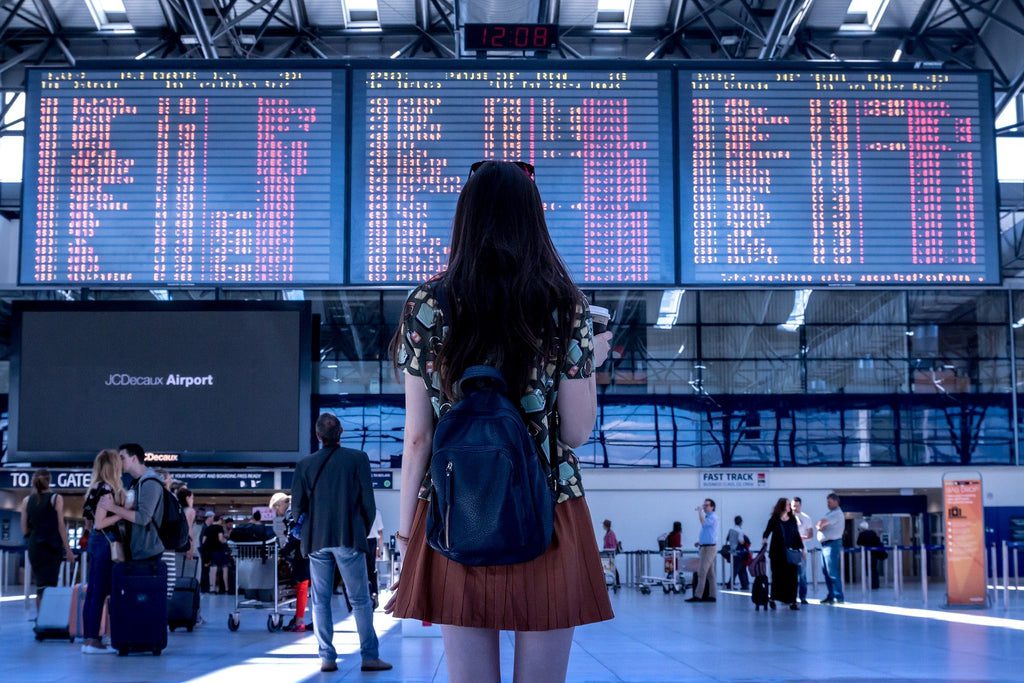 ¿Qué hacer con tu loro una vez lleguen al aeropuerto?