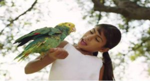 que es lo primero que debe aprender a decir mi loro, ¿Qué palabras y frases debo enseñarle a mi loro?